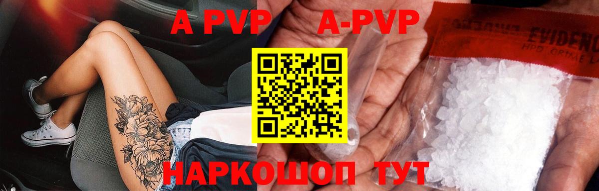A PVP СК КРИС Норильск