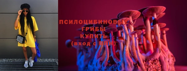 стафф Осинники