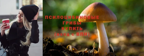 стафф Осинники