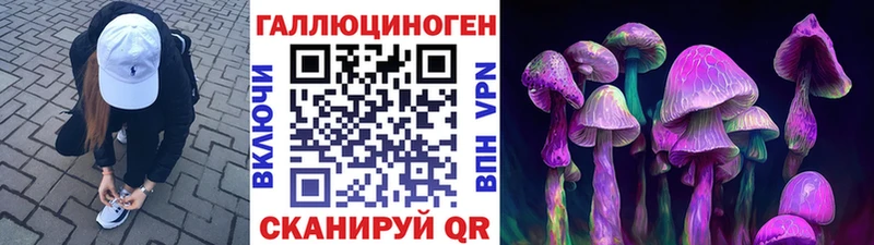 где купить наркоту  Норильск  Галлюциногенные грибы MAGIC MUSHROOMS 