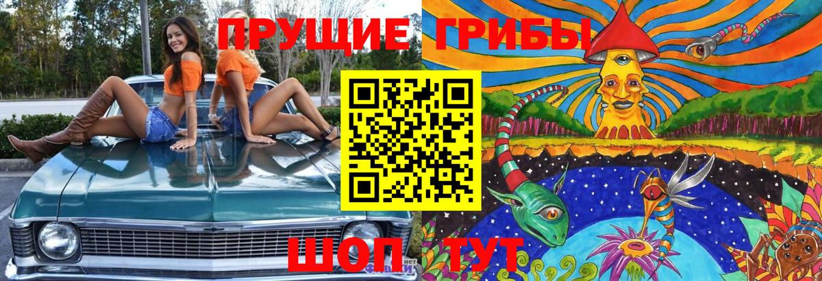 Псилоцибиновые грибы мицелий Норильск